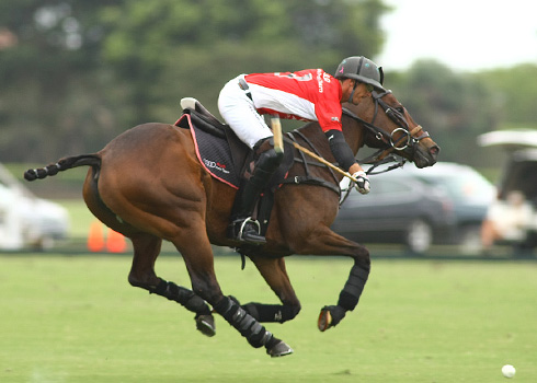 the polo magazine polo photos alex pacheco audi polo team lechuza polo team ipc polo club 3