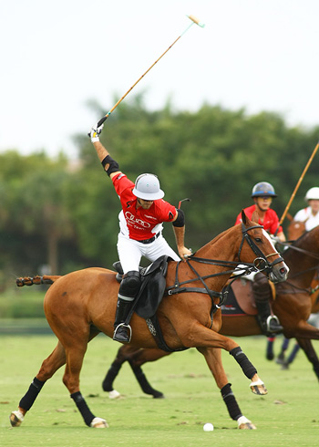 the polo magazine polo photos alex pacheco audi polo team lechuza polo team ipc polo club 6