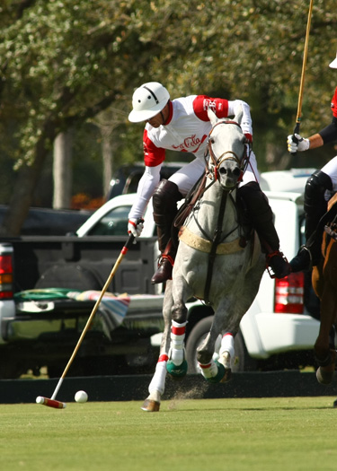 audi polo team coca polo team int polo club polo magazine alex pacheco photos 5