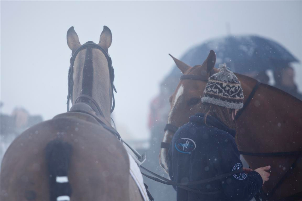the polo magazine bmw polo masters polo photos of morgane defosse 2013 vendredi 53