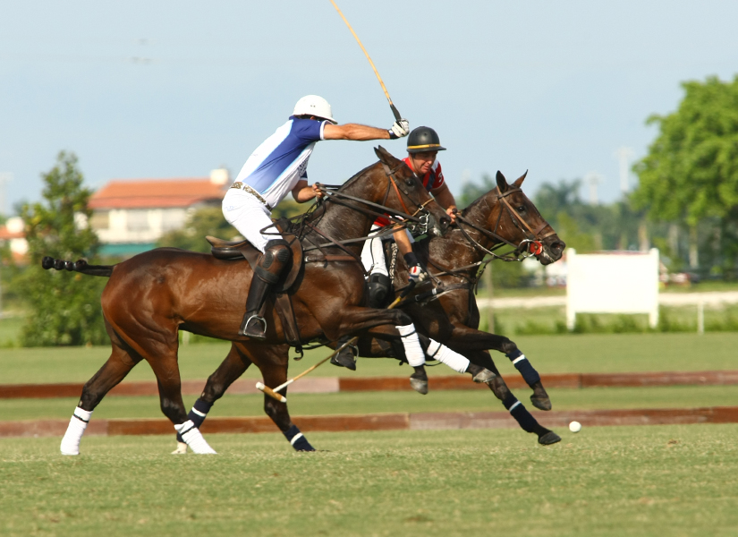 POLO USPA Sun Cup-photos by Alex Pacheco 23