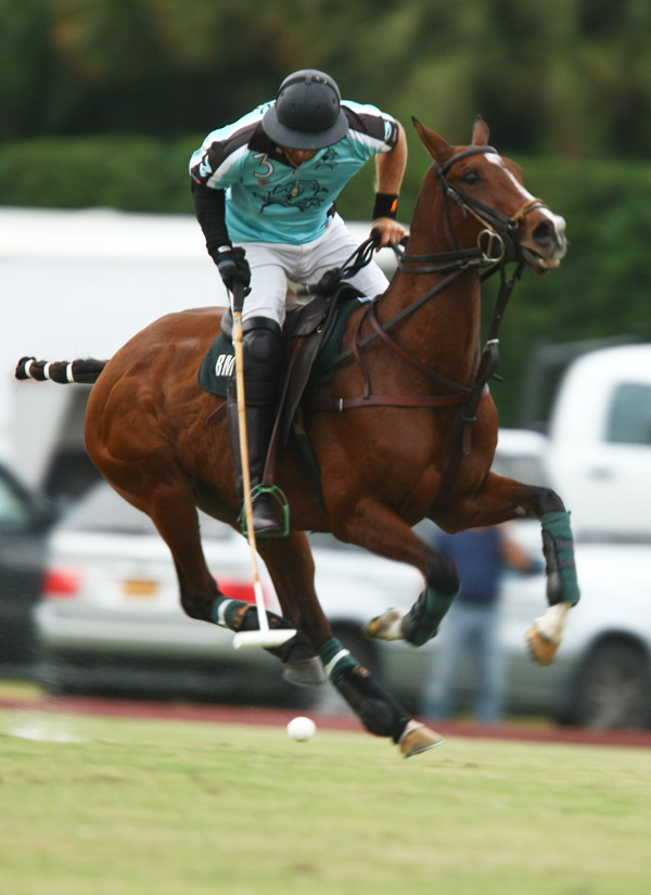 Photos-National 20-goalpachecopolotournamentpolomagazine 2