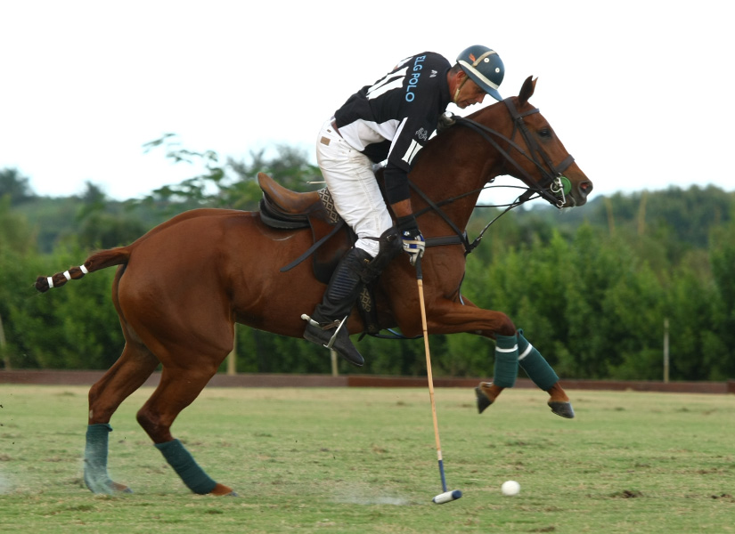 polomagazinepachecophotospedromorrispolotournamentusa 2