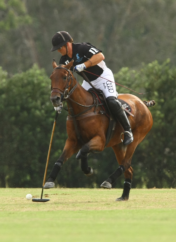 polomagazinepachecopolophotosfallplatepolousapolotournament 5