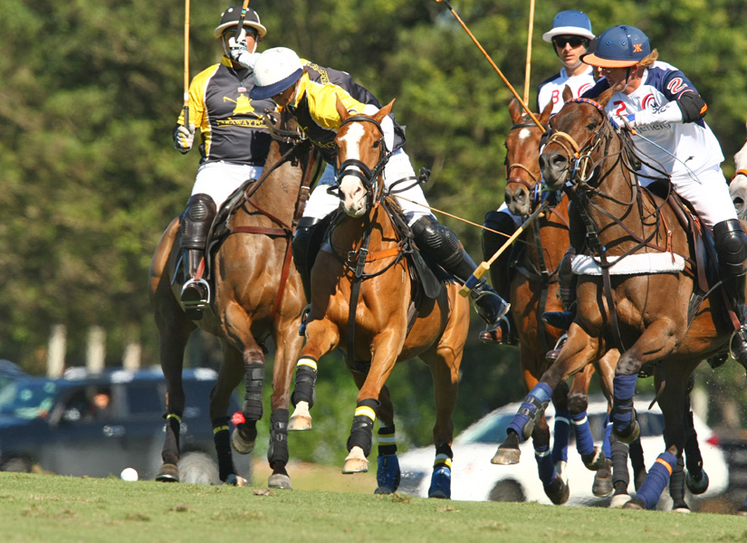 polomagazinejoebarrymemorialipc 6