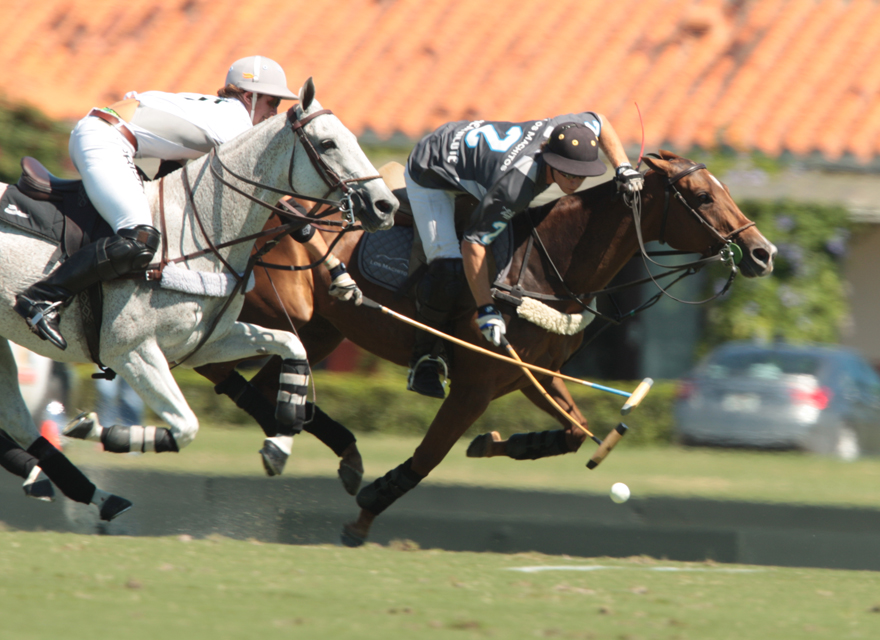 final 3 polomagazine.jpg