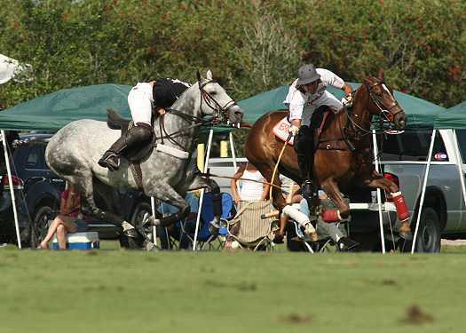 polomagusopensemi zacara erg polo team florida ipc 4