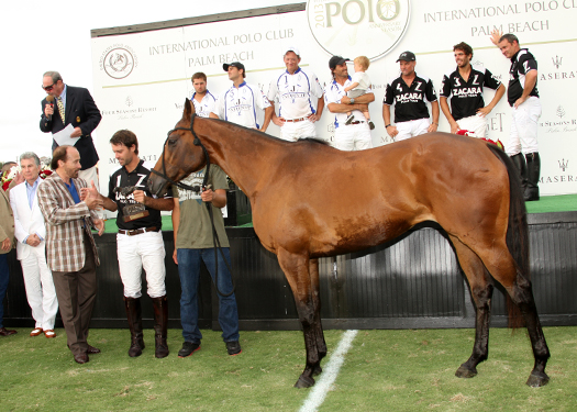 zacarapoloteamusopenpolotournamentpolomag2013 2